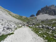 trekking alle tre cime (31/88)